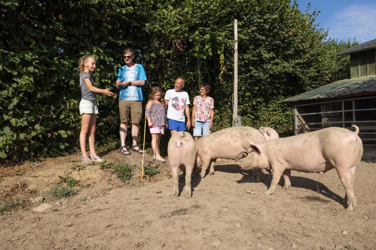 Tente Safari Lodge Ferme Carrique Tardets-Sorholus Eksteriør billede