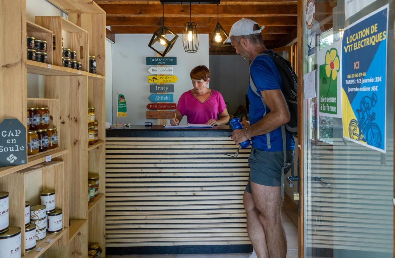 Tente Safari Lodge Ferme Carrique Tardets-Sorholus Eksteriør billede